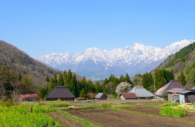 現金化疑問その２